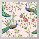 Buscar flor de pavo real posters Para todos