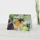 Buscar perro perdiguero tarjetas Golden retriever