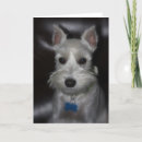 Buscar schnauzer blanco tarjetas Perrito