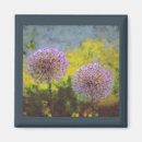Buscar azul helado imanes Floral