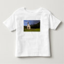Buscar aislado camisetas Alpino