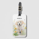 Buscar golden retriever accesorios Moderno