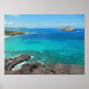 Buscar isla de conejo arte Playa