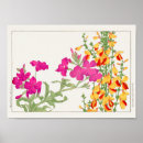 Buscar coronaria posters Floral