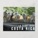 Buscar ph postales Foto