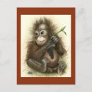 Buscar orangután postales Salvaje