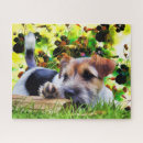 Buscar perritos lindos puzzles Para todos