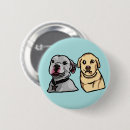 Buscar memes chapas Animales