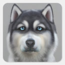 Buscar malamute pegatinas Adorable