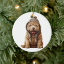 Buscar perro shar del pei adornos Cachorro