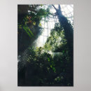 Buscar ciencia posters Naturaleza