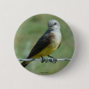 Buscar aves de corral chapas Naturaleza