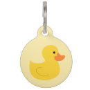 Buscar pato mascotas Animal