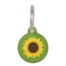 Buscar girasoles mascotas Flor