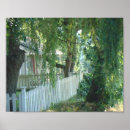 Buscar árboles bonitos posters Fotografía