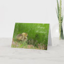 Buscar penoso postales Adorable