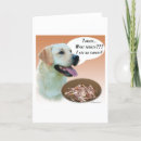 Buscar comió tarjetas Perro