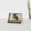 Buscar agilidad tarjetas General y unisex
