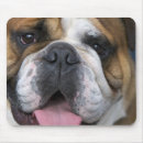 Buscar belga electronica Europa