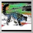 Buscar snow leopard arte Nieve