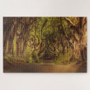 Buscar bosque puzzles Viajar