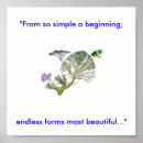 Buscar árbol de evolución posters Vida