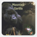 Buscar gorilas pegatinas Primates