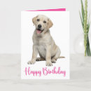 Buscar pieles del tarjetas Amante del perro