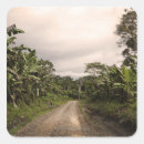 Buscar remote pegatinas Naturaleza