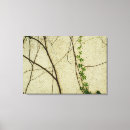 Buscar vinos lienzos Viñas