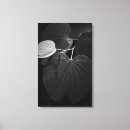 Buscar fotosíntesis posters Jardín