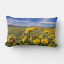 Buscar cordillera cojines Montaña