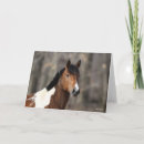 Buscar cabeza de caballo tarjetas Animal