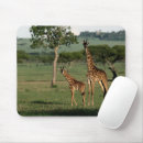 Buscar giraffe alfombrillas de raton Naturaleza