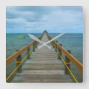 Buscar south pacific arte Travel