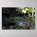 Buscar planta tropical posters Jardín