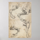 Buscar estudio de un caballo posters Caballos