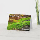 Buscar mosquitos tarjetas General y unisex