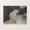 Buscar lobo blanco puzzles Vida silvestre