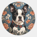 Buscar boston terrier pegatinas Vintage