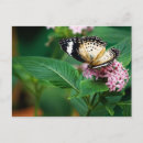 Buscar leopardo verde postales Naturaleza