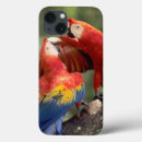 Buscar macaw ipad fundas Pájaro