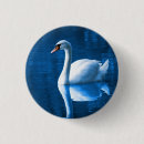Buscar lago chapas Cisne