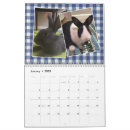 Buscar conejitos calendarios Rescate