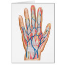 Buscar falange postales Ilustraciones biomédicos