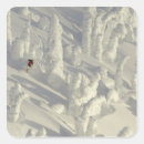 Buscar esquiador pegatinas Nieve
