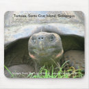 Buscar galápagos alfombrillas de raton Tortuga