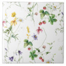 Buscar enredaderas azulejos Elegante