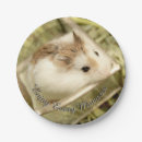 Buscar critters decoracion Adorable