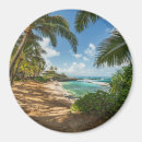 Buscar zonas tropicales imanes Playa
